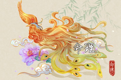 二婚命理测算_解读生辰八字_金匮八字神煞_排盘问真_身成八字解释